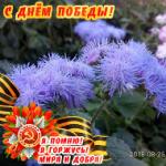 Аватара пользователя